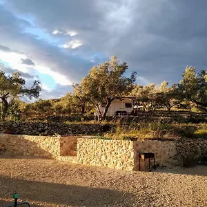 Gelimar Campo de lujo